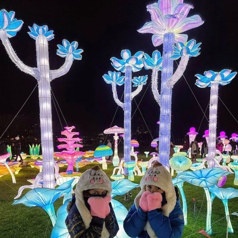 LuminoCity Festival A Must See Holiday Experience